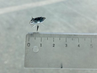 サムネイル 13枚目