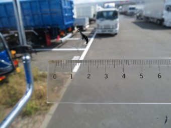 サムネイル 15枚目