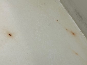 サムネイル 33枚目