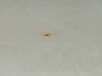 サムネイル 35枚目