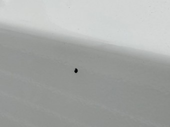 サムネイル 37枚目