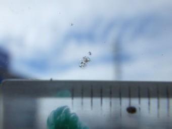 サムネイル 14枚目