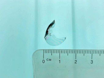 サムネイル 21枚目