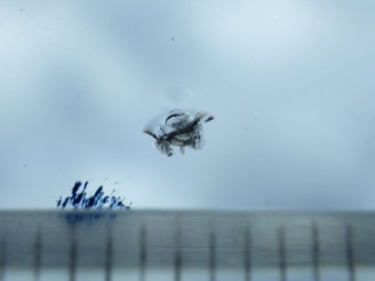 サムネイル 17枚目