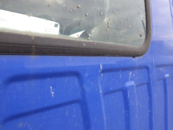 サムネイル 29枚目