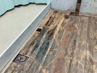 サムネイル 12枚目