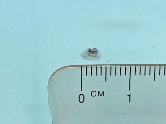 サムネイル 32枚目