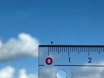 サムネイル 40枚目