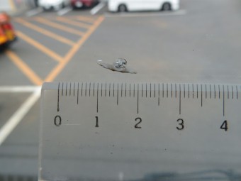 サムネイル 17枚目