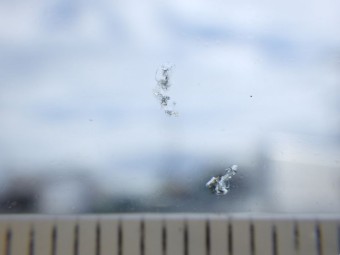 サムネイル 15枚目