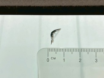 サムネイル 22枚目