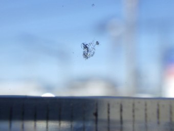 サムネイル 12枚目