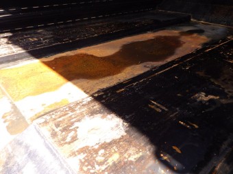 サムネイル 29枚目