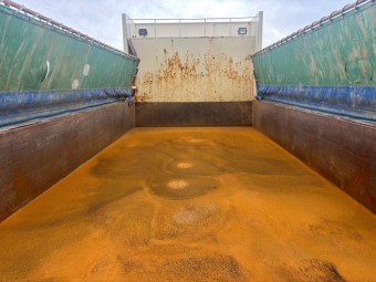 サムネイル 11枚目