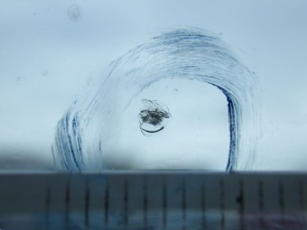 サムネイル 17枚目