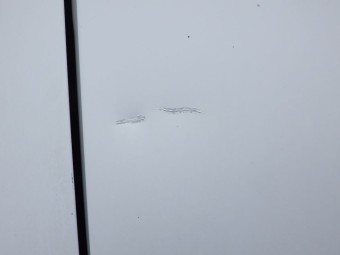 サムネイル 24枚目