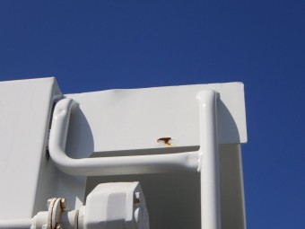 サムネイル 30枚目