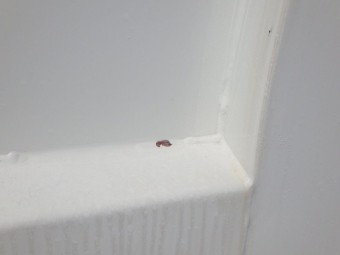 サムネイル 32枚目