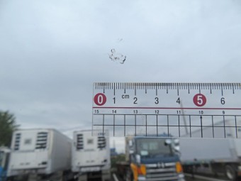 サムネイル 26枚目