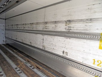 サムネイル 50枚目