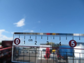 サムネイル 12枚目