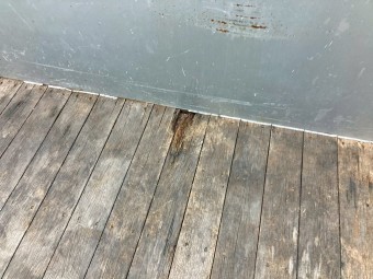 サムネイル 14枚目