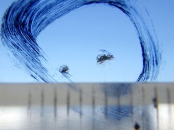 サムネイル 14枚目