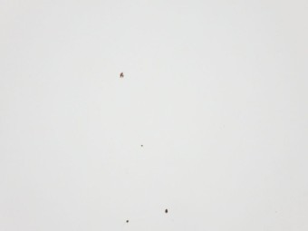 サムネイル 26枚目