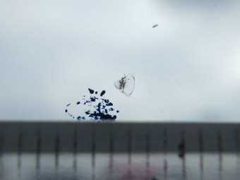 サムネイル 13枚目