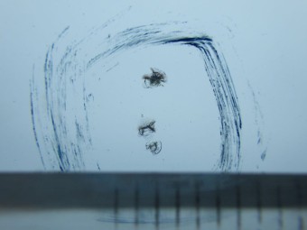 サムネイル 14枚目