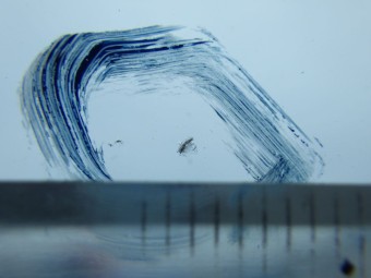 サムネイル 15枚目