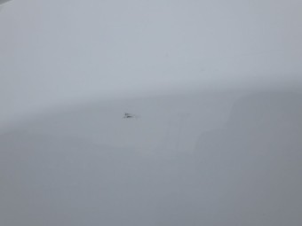 サムネイル 22枚目