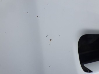 サムネイル 24枚目