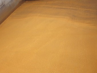 サムネイル 34枚目