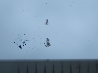 サムネイル 16枚目