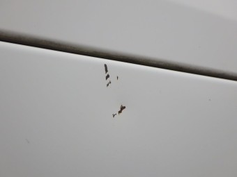 サムネイル 24枚目