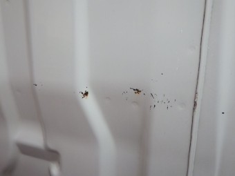 サムネイル 27枚目