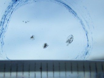 サムネイル 18枚目