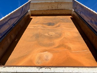 サムネイル 8枚目