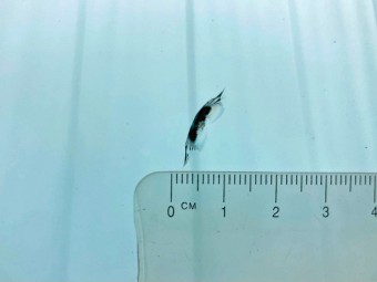 サムネイル 24枚目