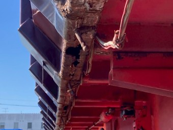 サムネイル 20枚目