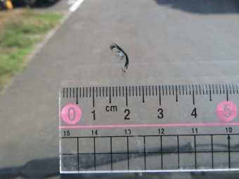 サムネイル 9枚目