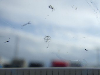 サムネイル 16枚目