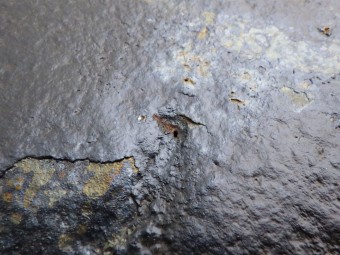 サムネイル 27枚目