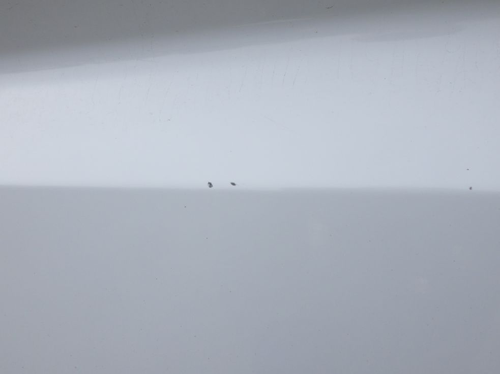 画像大 22枚目