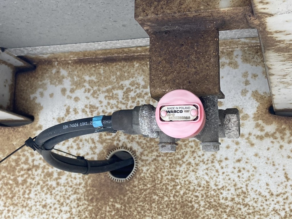 画像大 34枚目