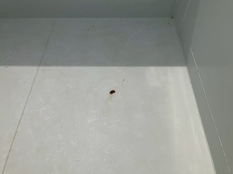 画像小 8枚目