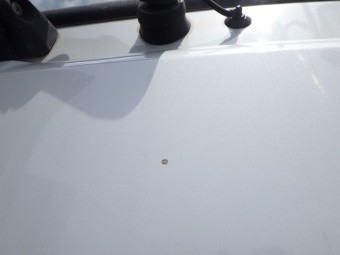 画像小 31枚目