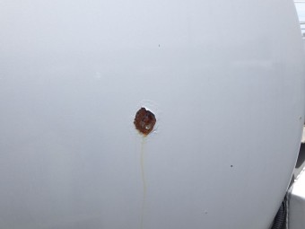 画像小 42枚目