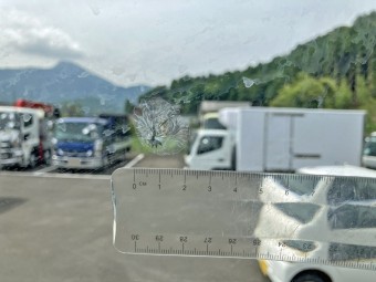 画像小 52枚目